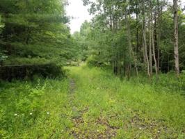 00 Hanshaw Rd.