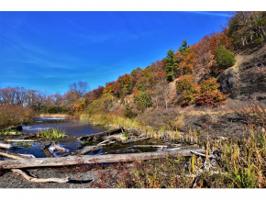 LOT 16 ROCKCRESS LANE
