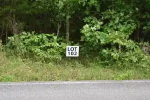 Image 1: Lot 102