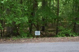 Lot 107 Treasure Tree Rd