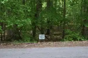 Image 1: Lot 107jpg