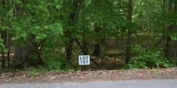 Lot 107 Treasure Tree Rd