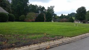 Sandpiper Drive 211