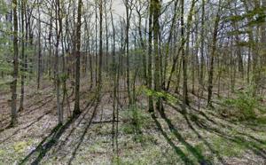 1130 Goti Drive