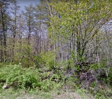 6133 Running Creek Drive