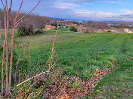 Lot 195 Pheasant View