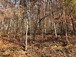 Lot 52 Harbor Lane