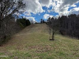 134 Old Pinecrest Lane