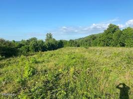 E Bat Creek Rd