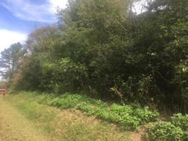 176 Elokwa Way 16