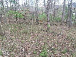 Lot 729r Bufflehead Drive 729r