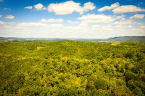 Rocky Hollow Rd