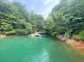 Lot 10 Fox Lake Lane