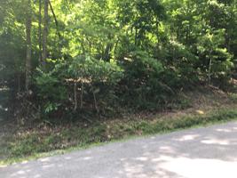 202 Overlook Lane