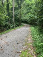 Lot 303 Sunset Bay (Off Garfield Ln)