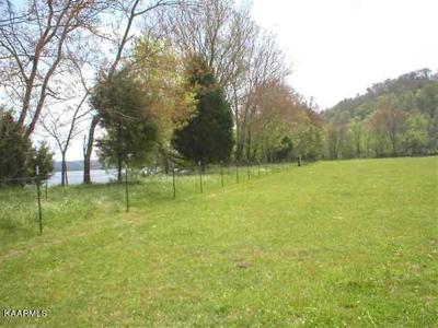 1134 McCustion Cemetery Rd