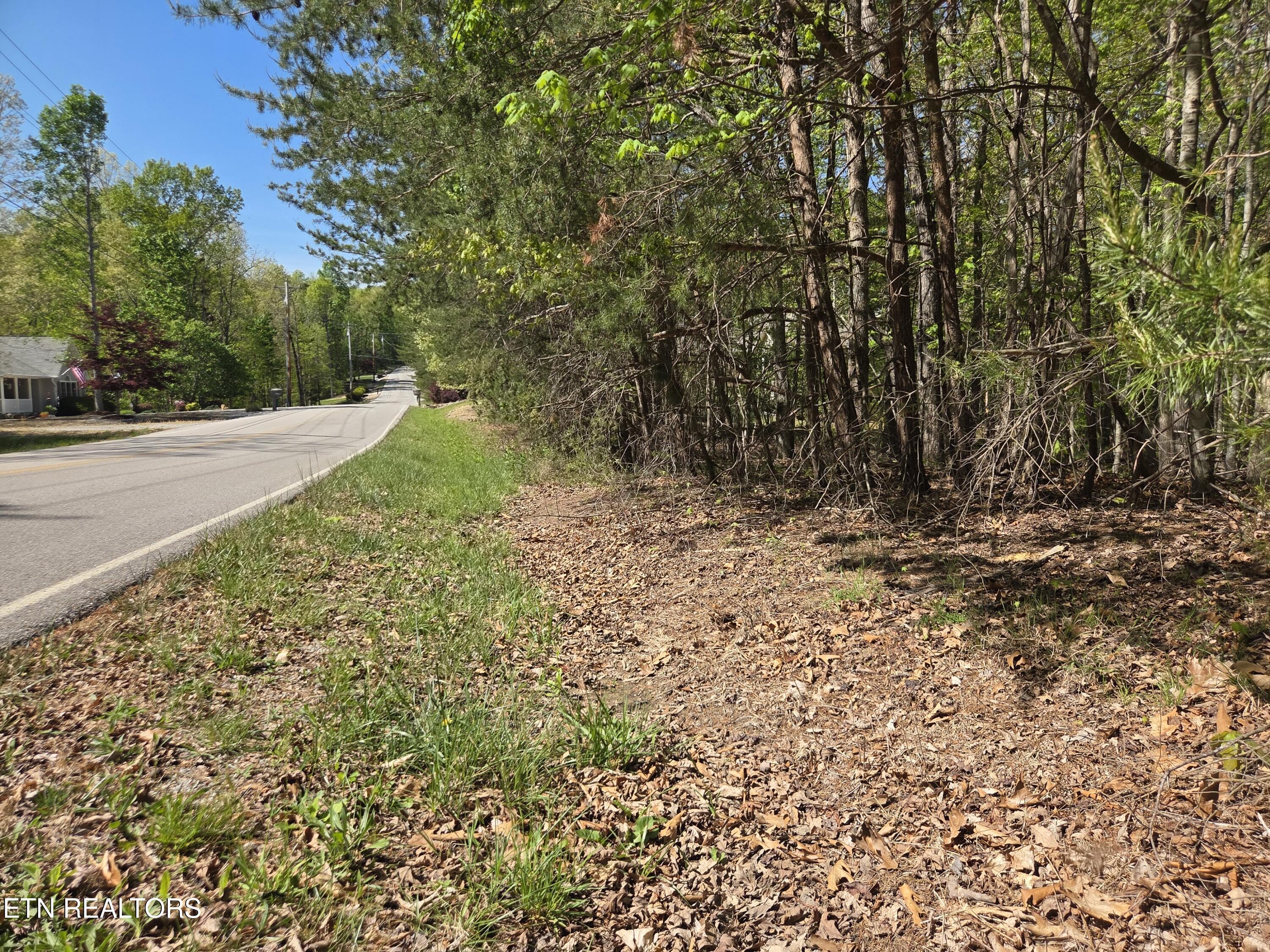 Image 1: Main Photo