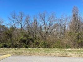 Lot 151 Cherokee Drive