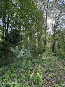 lot 169 Saddleridge Drive
