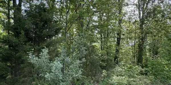lot 169 Saddleridge Drive
