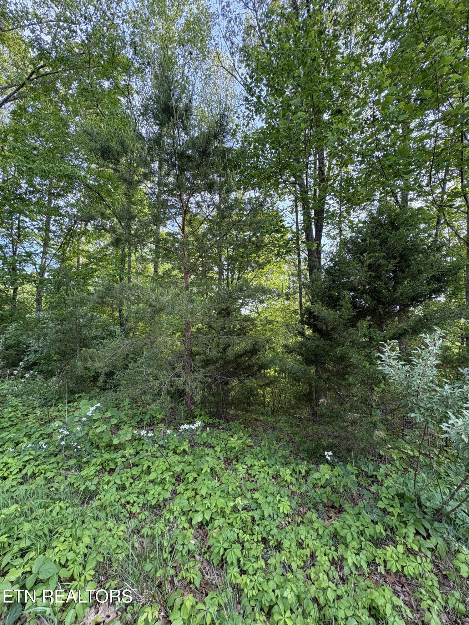 Image 3: IMG_8695