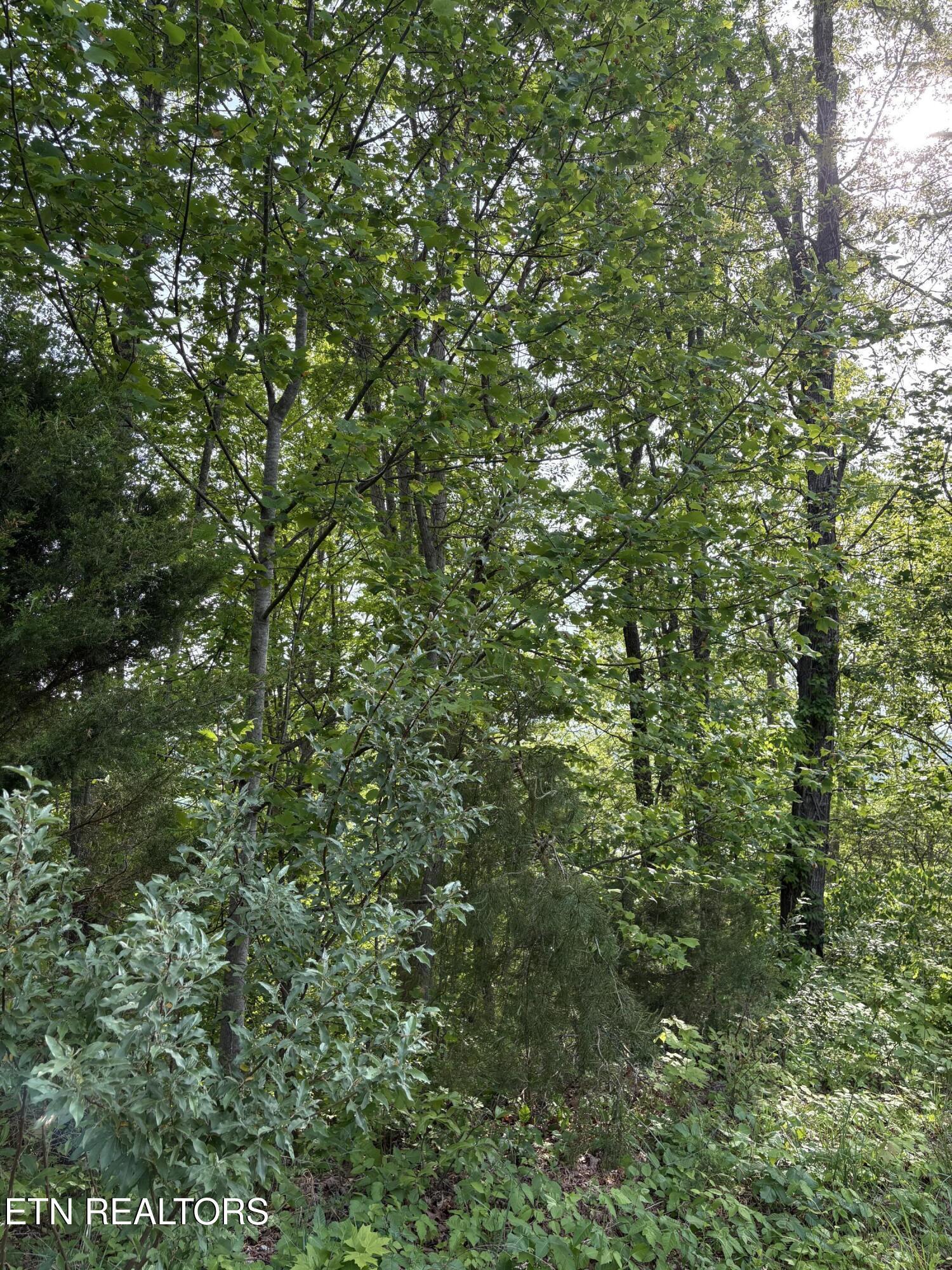 Image 4: IMG_8697