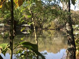 Lot 4 Bat Creek Shores Lane