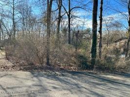 Lot 0019 Shady Lane