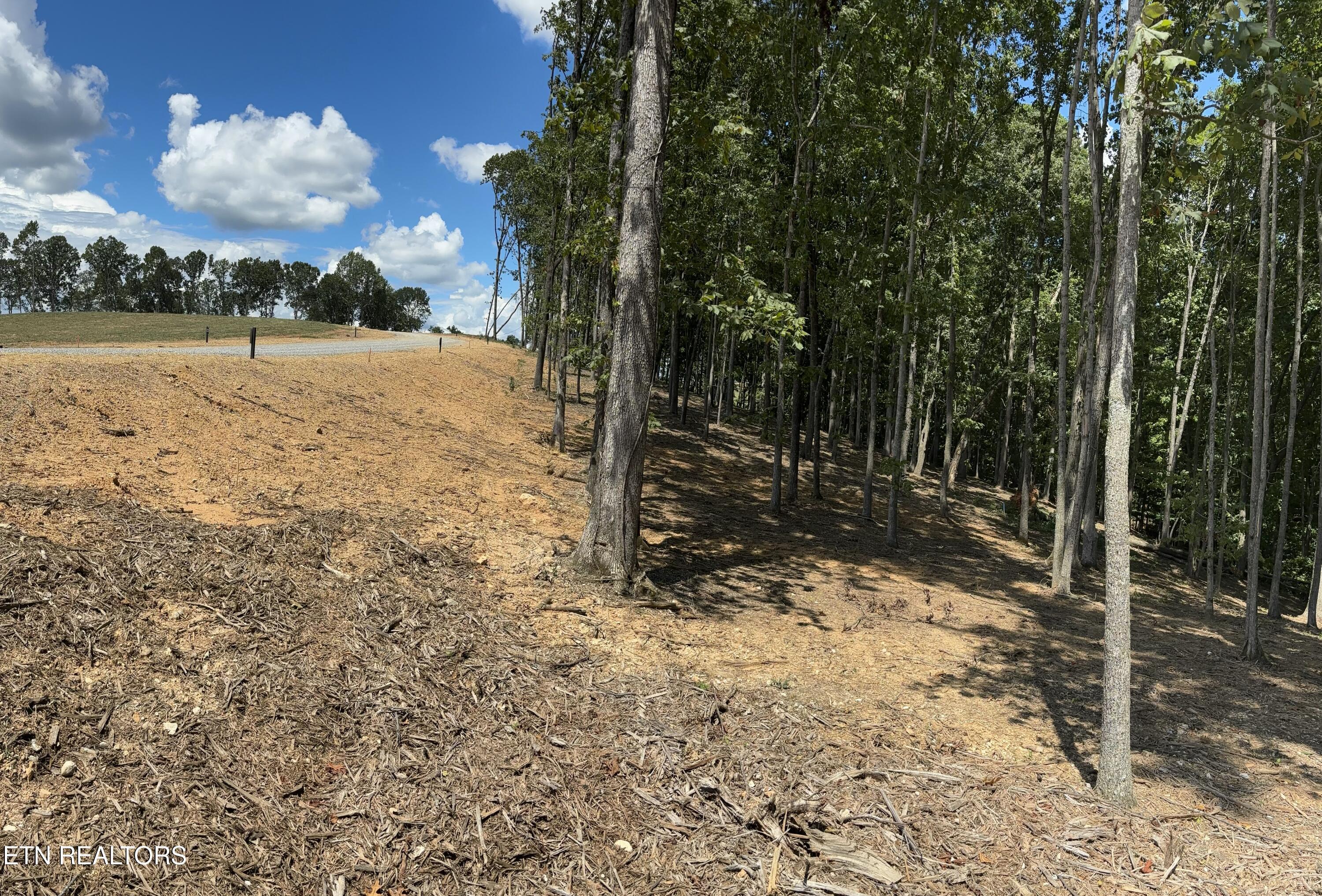 Image 2: lot 31 view1