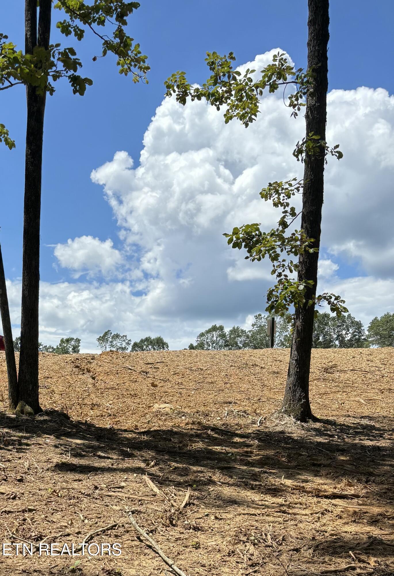 Image 3: Lot 31 view2
