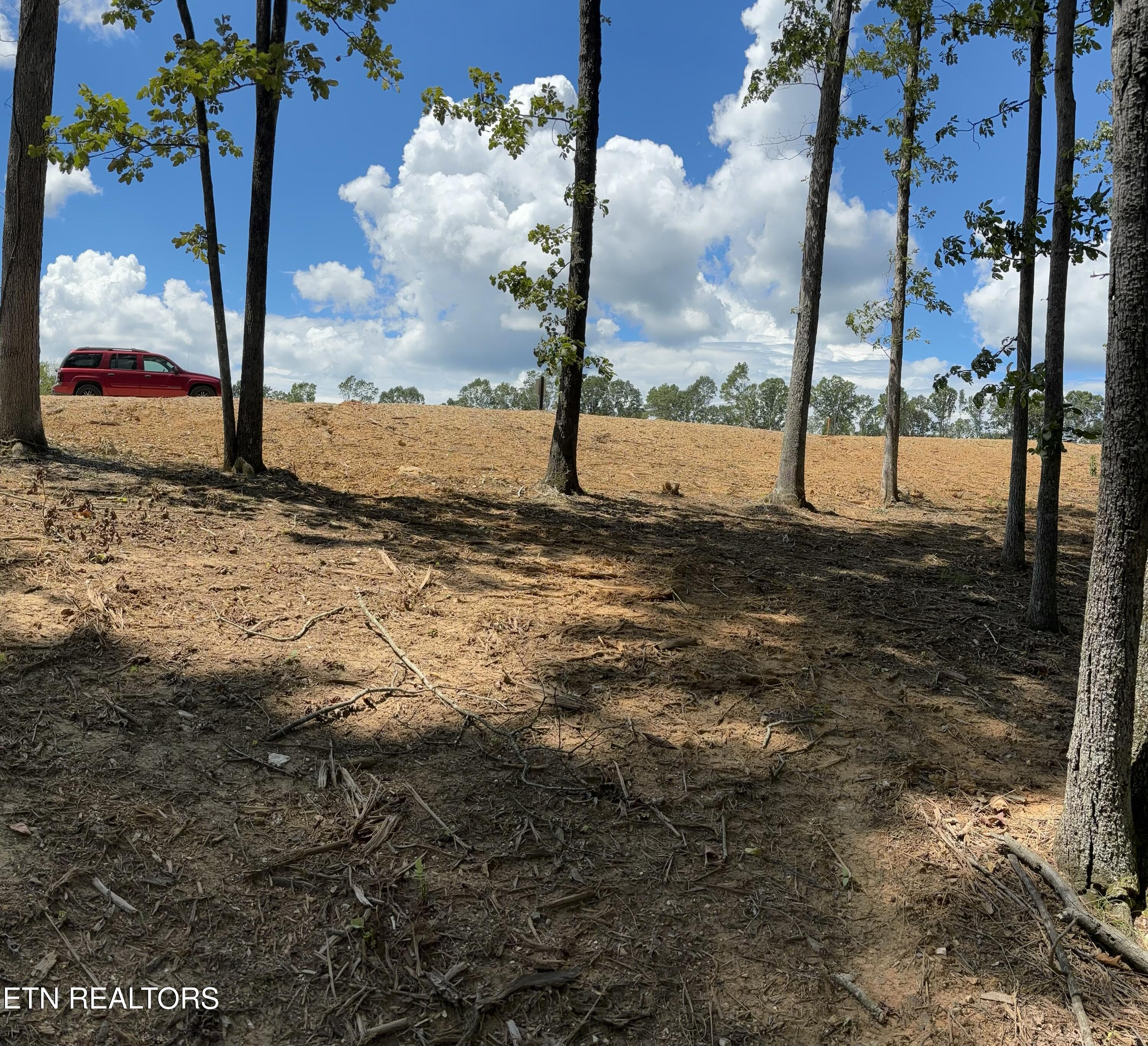 Image 4: Lot 31 view3