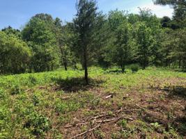 Lot 34 Goweli Trail