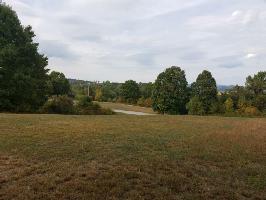 Lot 186 Pheasant View