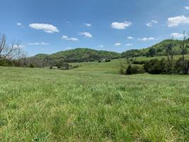 Lot 8 Edith Lane