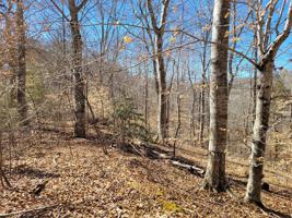 Lot 25 Hayden Drive