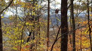 Lot 53 Lakeview Drive