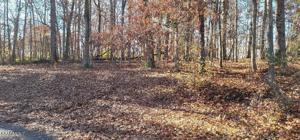 263 Lakewood Drive