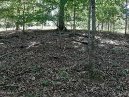 Lot 7, 8, 9 Deer Pond Circle