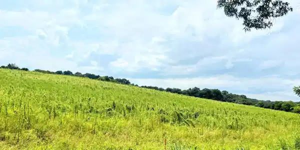 Lot 4R Gravelly Hills Rd