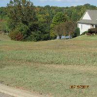 395 Pineberry Drive 336