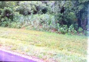 Lot 6 Dudi Tr 6