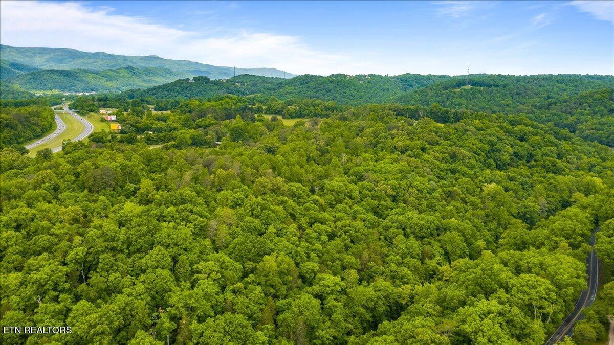 Image 2: 11-341 Lovely Bluff Rd