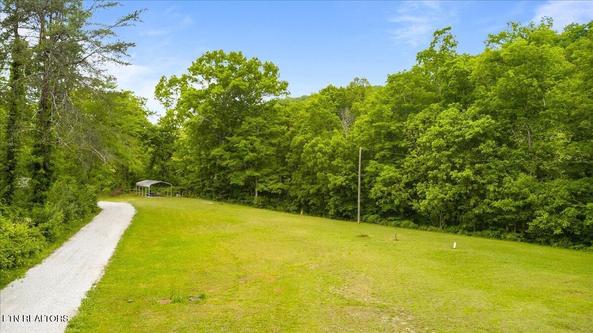 Image 3: 05-341 Lovely Bluff Rd