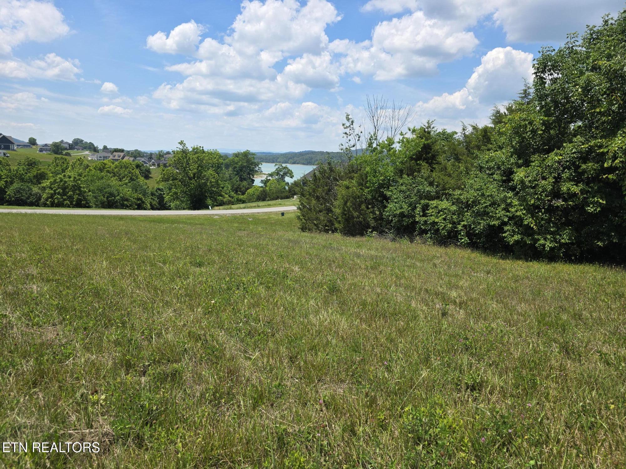 Image 4: Mid lot