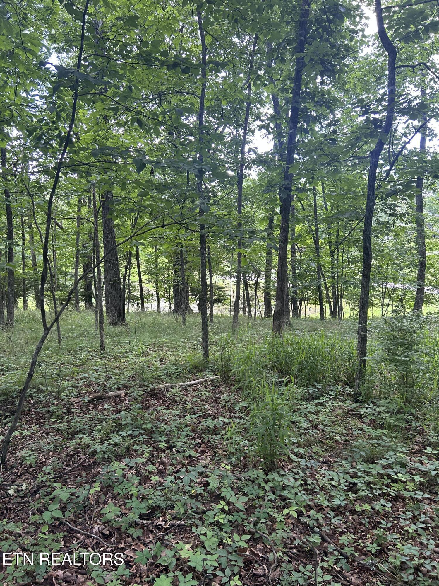 Image 3: IMG_8004(1)