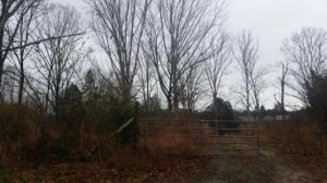 5r Fairview Road  5r