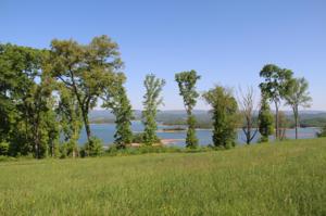 2287 Windswept Way