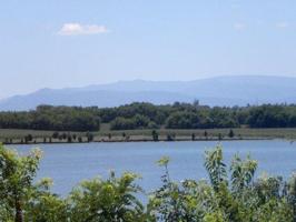225 Rock Point -Lot 426 Drive