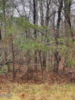 127 Rosemont Circle