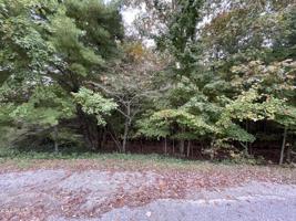 32 Ivydale Lane